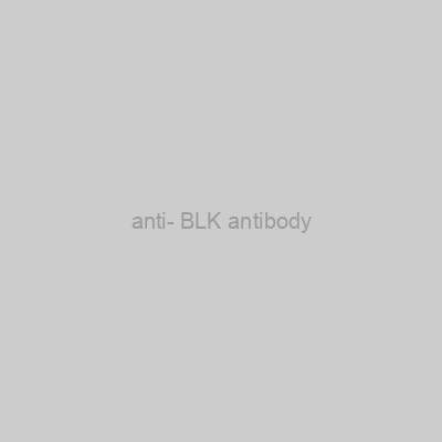 FN Test - anti- BLK antibody